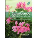 Cataplasmes - Remèdes naturels