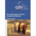 Un comte sous l'acacia : Joseph de Maistre